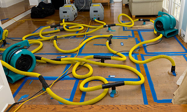 Professional Structural Drying And Dehumidification technician working in Markham, TX